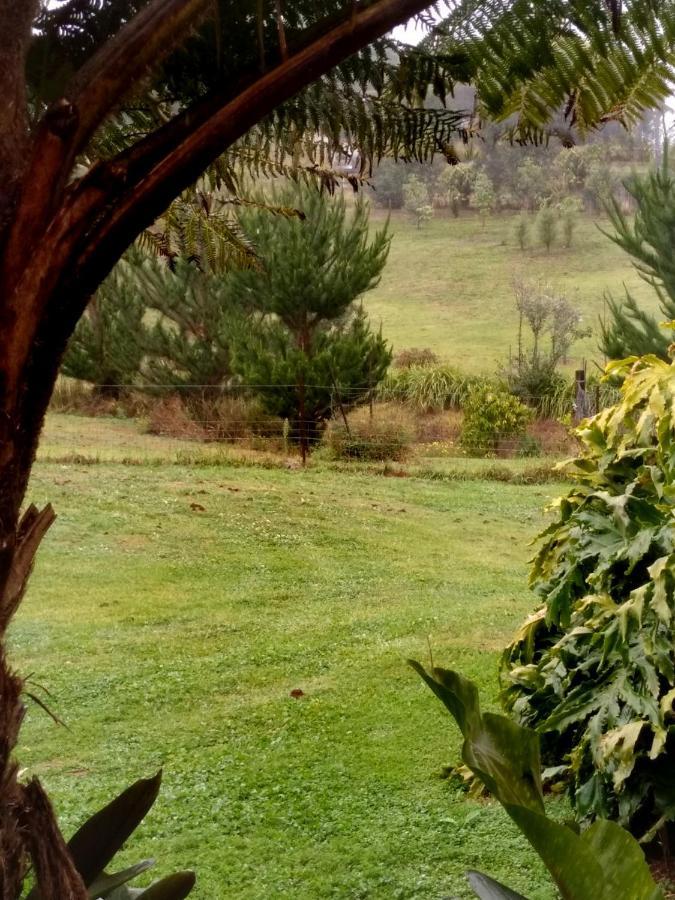 Beechmont Green Acres B&B מראה חיצוני תמונה