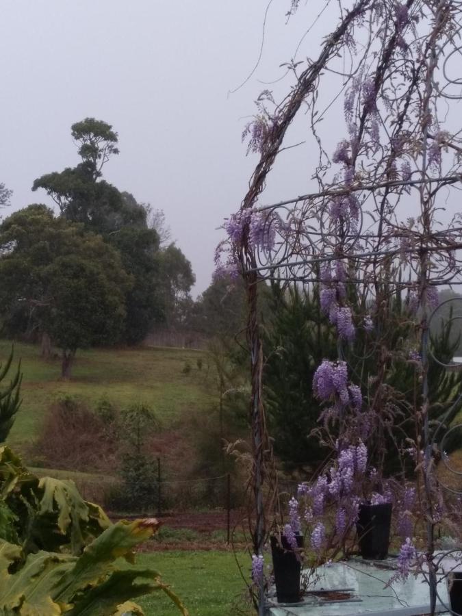 Beechmont Green Acres B&B מראה חיצוני תמונה